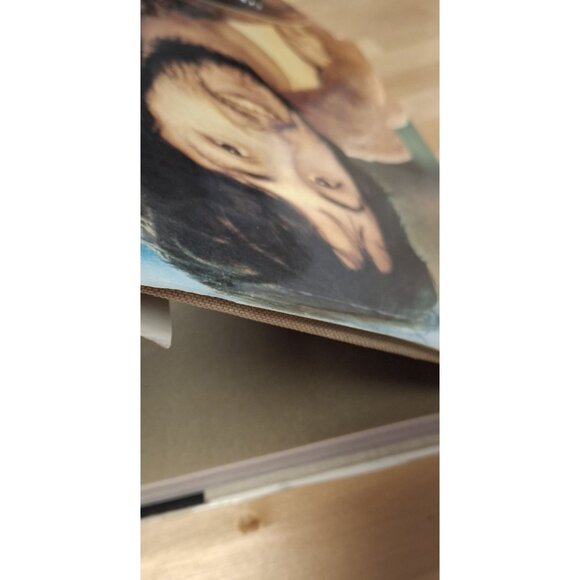 📚 Linda’s Pictures: Collection of Photographs by Linda McCartney 1976 Vintage - Picture 13 of 15